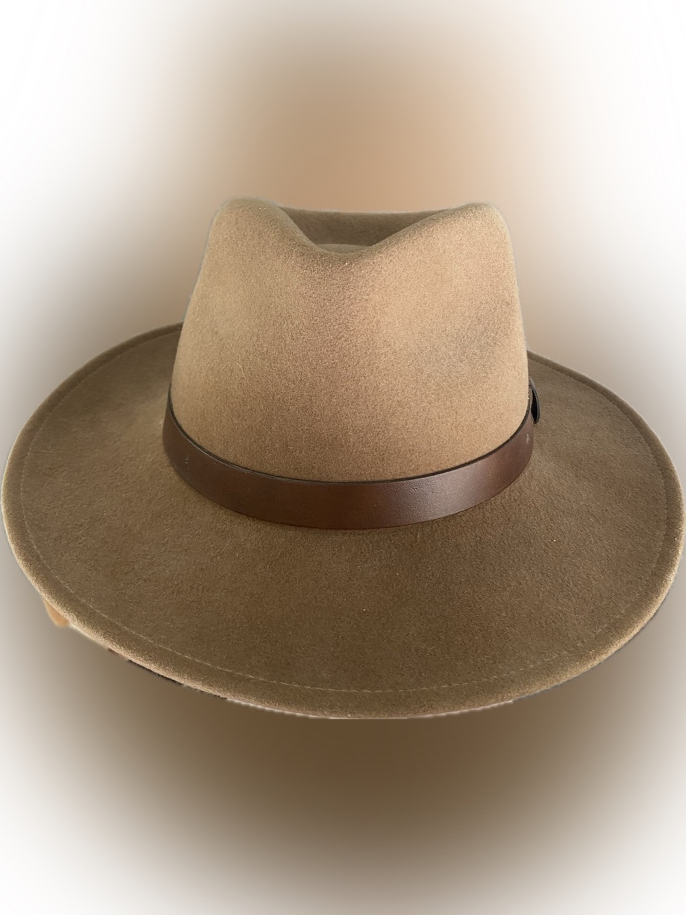 Pendleton 100% Wool Fedora